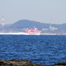 東京湾を眺める