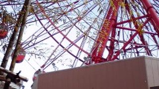 休日はチャチャで