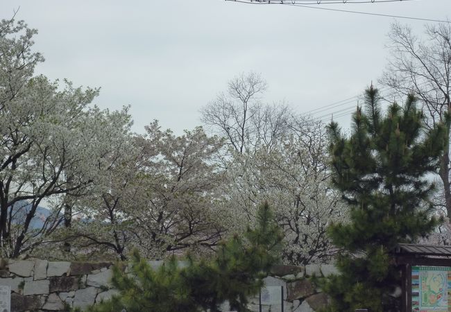 赤穂城南緑地公園