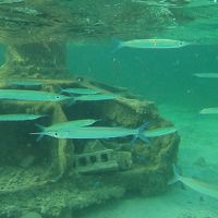 ビーチ　不沈物まわり