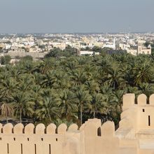 砦の周りは，デーツ園。緑を見るとほっとします。