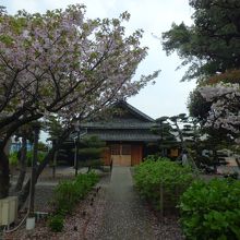 葉桜と山門