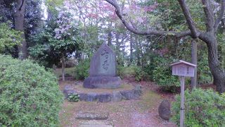 開館日に注意しましょう（日曜は休館）