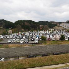 第一駐車場　お昼前には満車状態で長い列ができてました