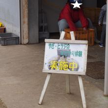 やぎ　羊　餌やり体験（無料）