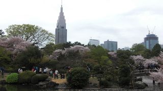 新宿の癒しの空間