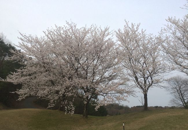 白山カントリー倶楽部泉水コース