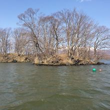 小島を近くから見られました。