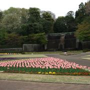 植物園や子供用の乗り物など