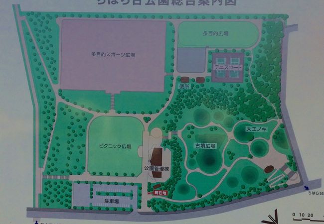 ちはら台公園 クチコミ アクセス 営業時間 市原 フォートラベル ちはら台公園 クチコミ アクセス 営業時間 市原 フォートラベル