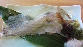 イカが大好きになれるお店です