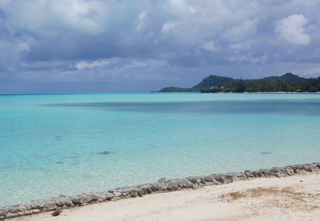 こんな綺麗な海を見たことが無い。