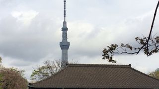 特別公開があります。