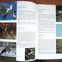 このような図鑑が数冊置いてあります。