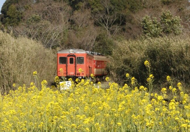 いすみ鉄道 クチコミ・アクセス・周辺情報｜いすみ・大多喜 - フォー