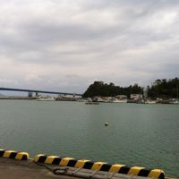 目の前の本部漁港