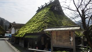 復元ですが、展示資料が楽しいです