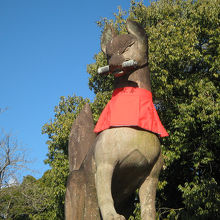 伏見稲荷大社境内