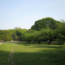 浜離宮恩賜庭園 