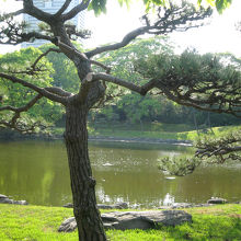 浜離宮恩賜庭園 