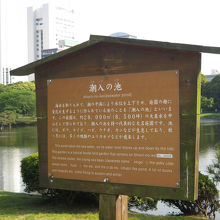 浜離宮恩賜庭園 