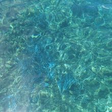 忘れられないブルー