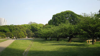 都会の日本庭園
