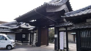 上野公園よりずっとデカイ西郷さん