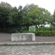 遊水池の周りの公園