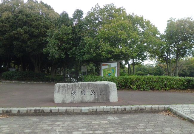 遊水池の周りの公園