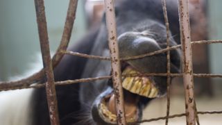 ベビーカーでは少し大変