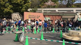 楽しめました！