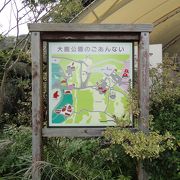 広い公園