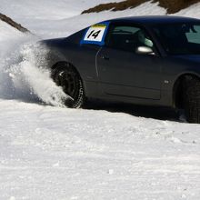 草レース見物