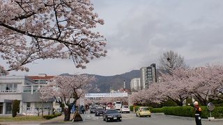 海軍士官学校