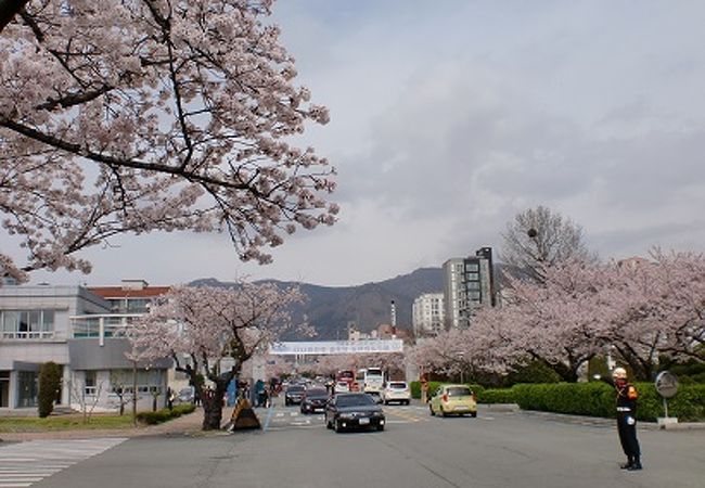 海軍士官学校