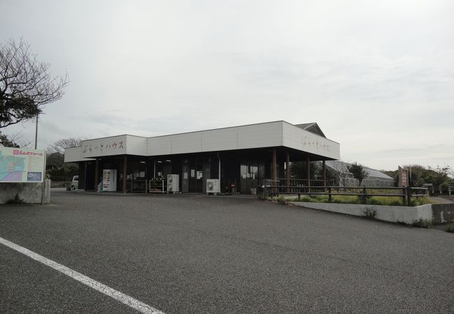 ぶらっとハウス クチコミ・アクセス・営業時間｜伊豆大島【フォートラベル】
