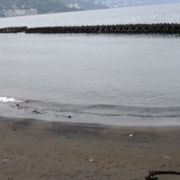 網代の海水浴場