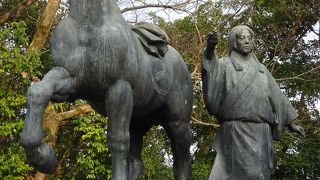 サクラサク　高知公園