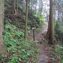 山上へ至る七曲りの旧坂。山吹井戸の案内が建っています。