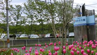 いつでも花が・・。