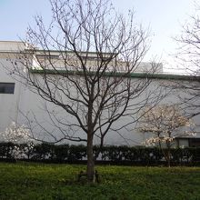 無意識に通り過ぎたことも