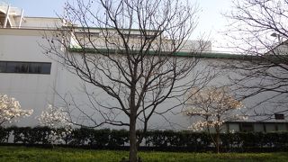 幸田文の娘が寄贈