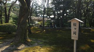 桜の時期だったら・・・