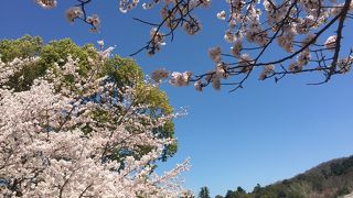 緑の芝生が綺麗です。ただし座るわけにはいきませんが。。。