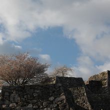 竹田城　桜