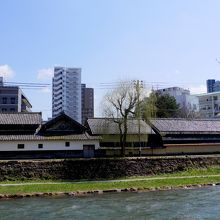 中津川対岸からのござ九