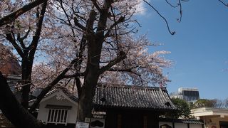 普段は非公開みたいです