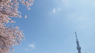 ものすごい混雑ですがいい眺め