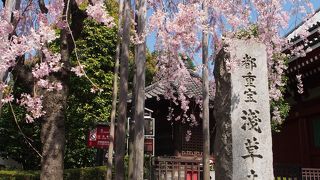 ひっそりとありました